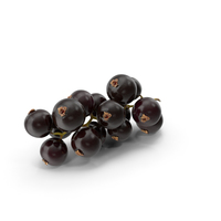 Black Currant Branch PNG & PSD Images