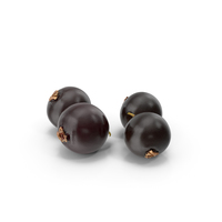 Blackcurrant Individual PNG & PSD Images
