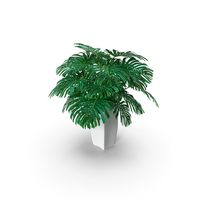 Monstera Leaves PNG & PSD Images