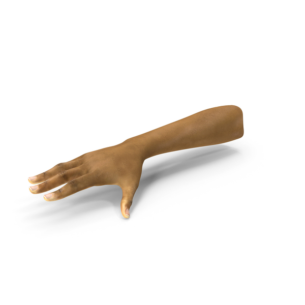Mongoloid Female Hand PNG & PSD Images