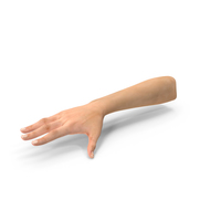 Australoid Female Hand PNG & PSD Images
