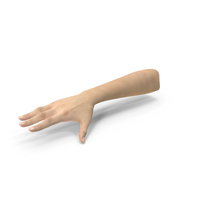 Caucasian Female Hand PNG & PSD Images