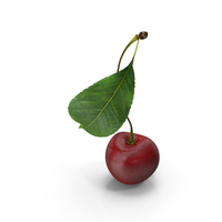 Sour Cherry with Leaf PNG & PSD Images