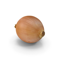Onion PNG & PSD Images