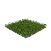 Grass With Clovers PNG & PSD Images