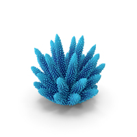 Coral 1 blue PNG & PSD Images