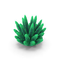 Coral 1 Green 1 PNG & PSD Images