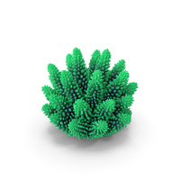 Coral 1 green PNG & PSD Images