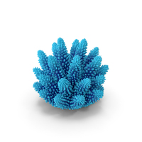 Coral 1 blue PNG & PSD Images
