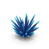 Coral 2 Blue PNG & PSD Images