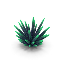 Coral 2 Green 1 PNG & PSD Images