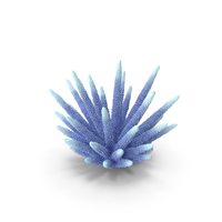 Coral 2 White PNG & PSD Images