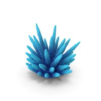 Coral 2 Blue PNG & PSD Images