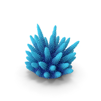 Coral Blue PNG & PSD Images