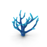 Coral Blue PNG & PSD Images