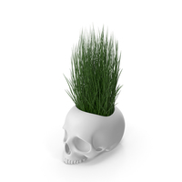 Skull Head Flower Pot with Grass PNG & PSD Images