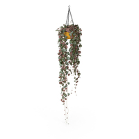 Rosary Vine PNG & PSD Images