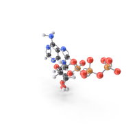 Adenosine Triphosphate Molecule PNG & PSD Images