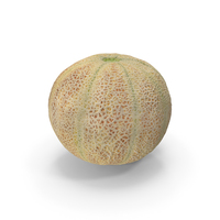 Cantaloupe Melon PNG & PSD Images