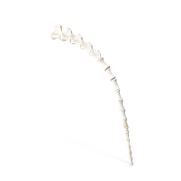Tail Skeleton PNG & PSD Images
