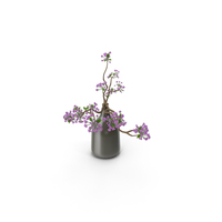 Blooming Sakura Branches in a Vase PNG & PSD Images