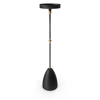 Twig Apparatus Chandelier PNG & PSD Images