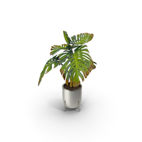 Potted Plants Set PNG & PSD Images