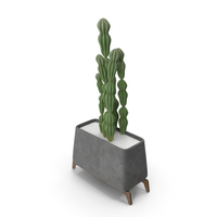 Cactus Jug PNG & PSD Images