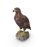Golden Eagle PNG & PSD Images