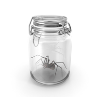 Glass jar with spider PNG & PSD Images