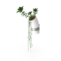 Wall Flower PNG & PSD Images
