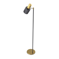 Floor lamp PNG & PSD Images