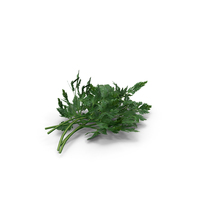 Bunch of Parsley PNG & PSD Images