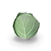 Cabbage PNG & PSD Images