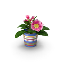 Flower in Pot PNG & PSD Images