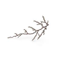 Naked Tree Branch PNG & PSD Images