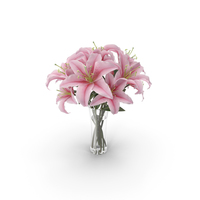 Lily in Vase PNG & PSD Images