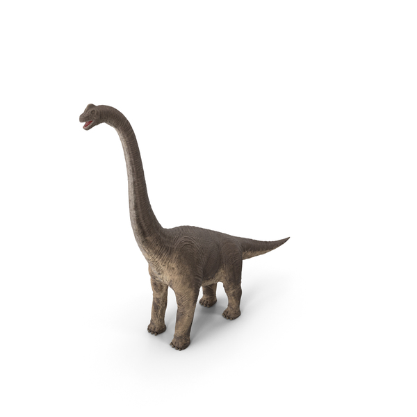 Brachiosaurus Standing Pose PNG & PSD Images