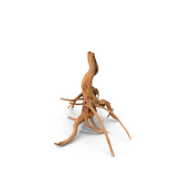 Tree Roots PNG & PSD Images