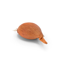 Onion PNG & PSD Images