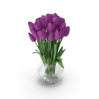 Tulips Violet PNG & PSD Images