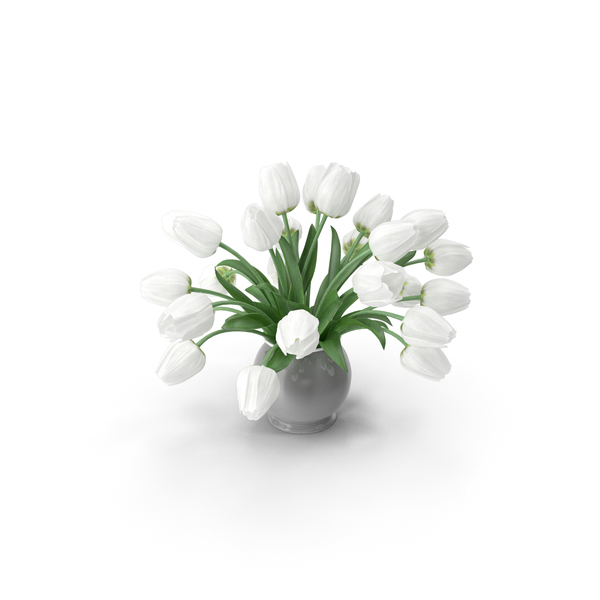 Tulips White Bouquet PNG & PSD Images