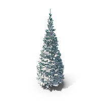 Conifer Covered in Snow PNG & PSD Images