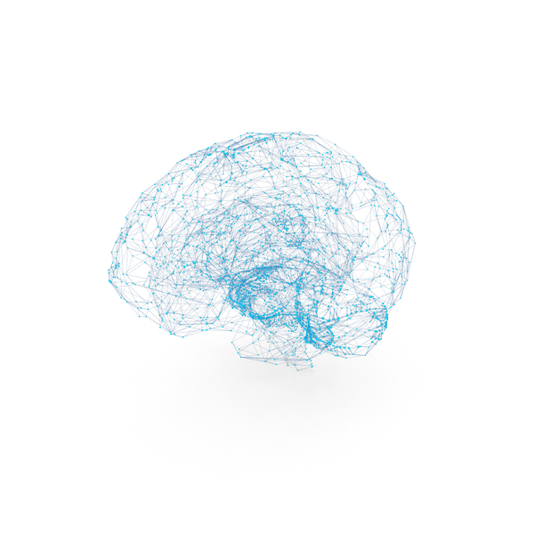 Brain Wire-frame PNG & PSD Images