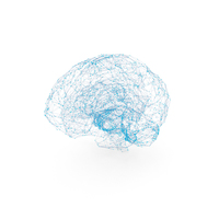 Brain Wire-frame PNG & PSD Images