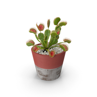 Venus Flytrap in Plant Pot PNG & PSD Images