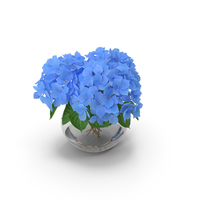 Hydrangea Macrophylla Nikko Blue in Glass Bowl PNG & PSD Images