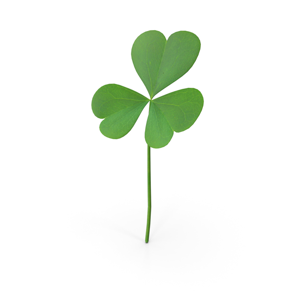 Three Leaf Clover PNG & PSD Images