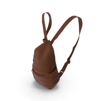 Women's Backpack  Brown PNG & PSD Images