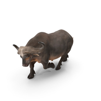 非洲水牛攻击姿势PNG和PSD图像